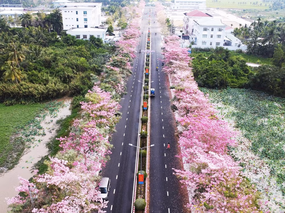soc trang lan dau tien to chuc le hoi hoa ken hong hinh 1