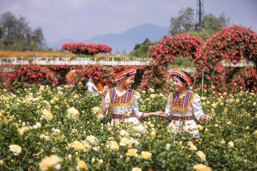 thang 3 len dinh fansipan ngam do quyen ruc ro dep tua chon tien canh hinh 6