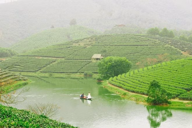 doan lam phim chau au thich thu voi khung canh tuyet my cua dao che o nghe an hinh 1