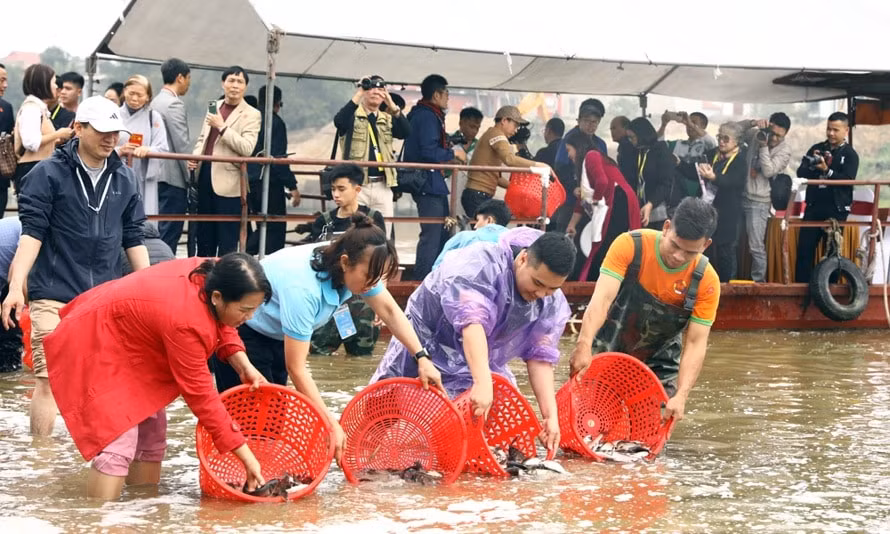 le hoi tieu mai ton vinh chien thang nhu nguyet nam 1077 hinh 2