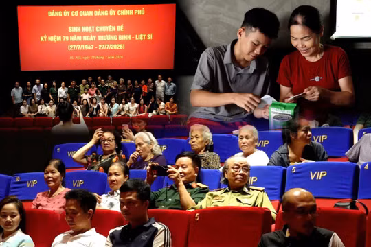 Tuần phim tri ân thu hút đông đảo khán giả