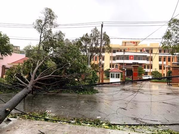 Bão số 9 với sức gió mạnh làm gãy đổ nhiều cây xanh vào hệ thống lưới điện. Ảnh: EVN