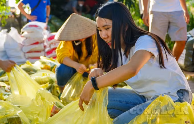 Bạn Hà Liên, Đội Tình nguyện đồng Hương Hà Tĩnh tự tin trả lời: “Bọn em kêu gọi chủ yếu là rau củ, như đậu, bí xanh, bí đỏ, su su, có thể vận chuyển xa, bảo quản được lâu. Còn với các loại rau ăn lá, các bác nông dân chờ đến chiều muộn mới cắt, sau đó cho xe chở sang Hà Nội, để có thể vào miền Trung ngay trong đêm. Sáng hôm sau, đến tay bà con, rau vẫn còn tươi”.