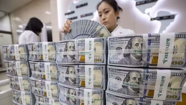 Giới đầu tư rúng động vì quyết định sa thải thống đốc ngân hàng trung ương của Thổ Nhĩ Kỳ