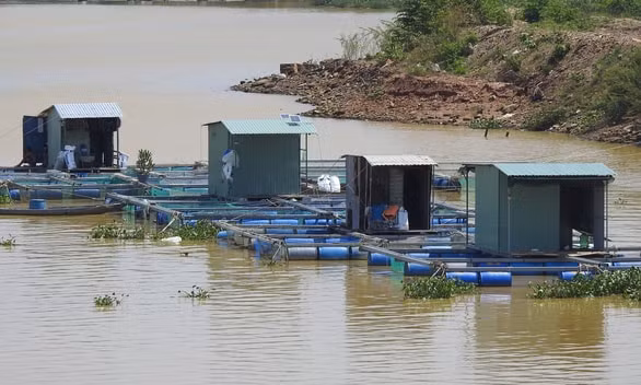 UBND TP yêu cầu không để người ở lại trên các lồng bè, chòi canh nuôi trồng thủy sản, trên tàu, thuyền neo đậu, trong các lán trại công trình đang xây dựng (Ảnh: tuoitre.vn)