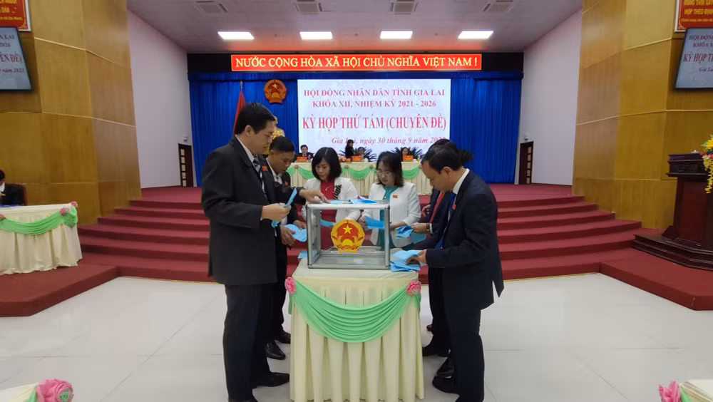 nguyen chu tich tinh gia lai vo ngoc thanh xin thoi lam dai bieu hdnd vi suc khoe khong dam bao hinh 1