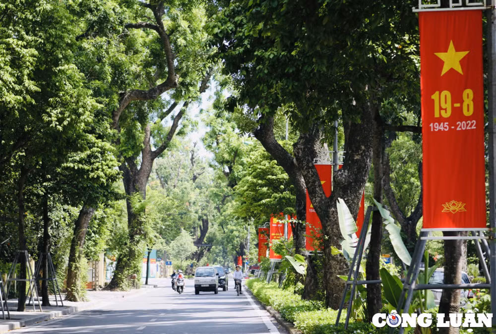 pho phuong ha noi ruc ro sac mau chao mung quoc khanh 2 9 hinh 5