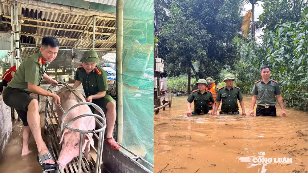 Hình ảnh những chiếc áo xanh không ngại gian khổ, đồng hành cùng bà con trong lúc khó khăn đã để lại nhiều tình cảm tốt đẹp, lan tỏa tinh thần đoàn kết, sẻ chia trong cộng đồng.