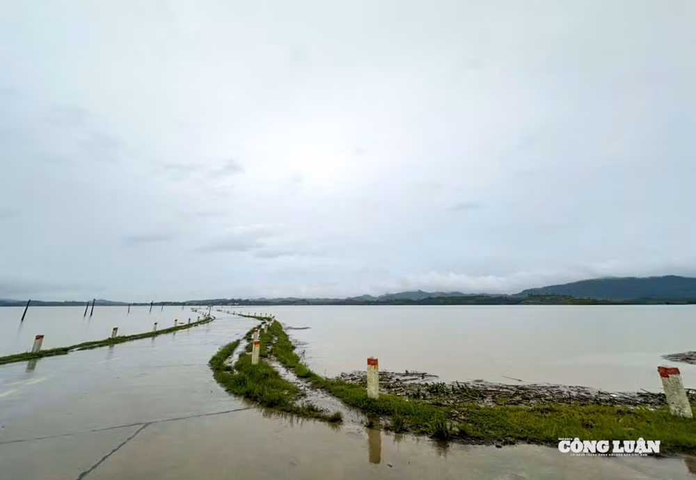 thiên tai_7