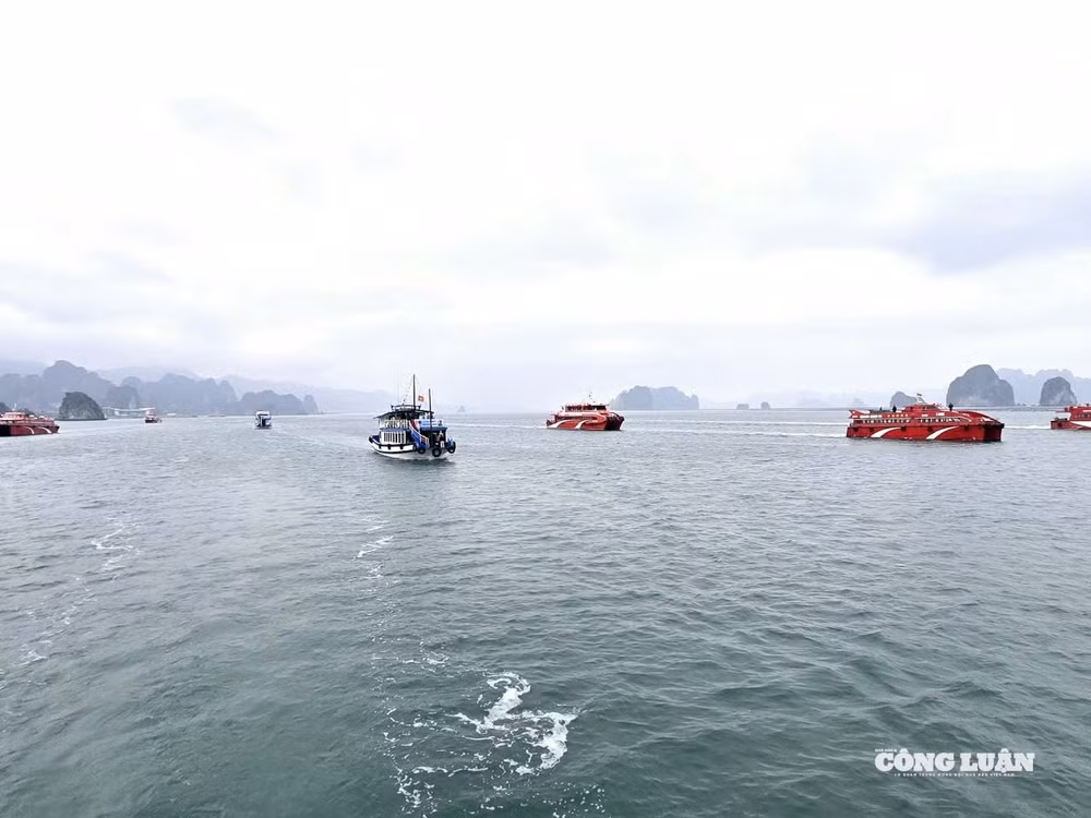 anh-1-buoc-ngoat-cho-kinh-te-tu-nhan-quang-ninh(1).jpg