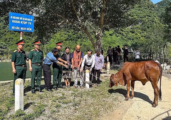 quang-tri.jpeg