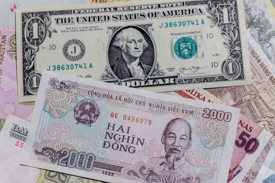 USD/VND Forecast | Will USD/VND Go Up or Down?