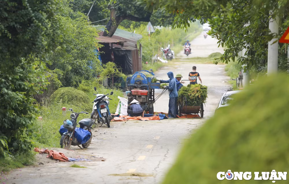 ha noi dan quan tu ve gat lua giup dan chay lu hinh 14