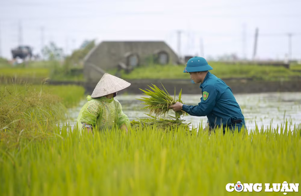 ha noi dan quan tu ve gat lua giup dan chay lu hinh 6