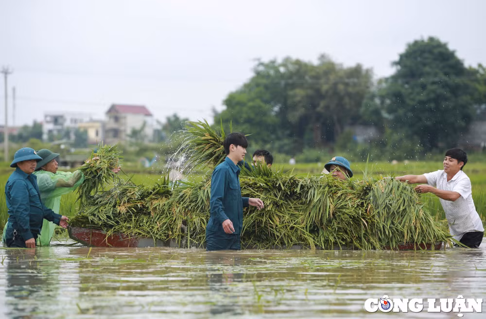 ha noi dan quan tu ve gat lua giup dan chay lu hinh 8