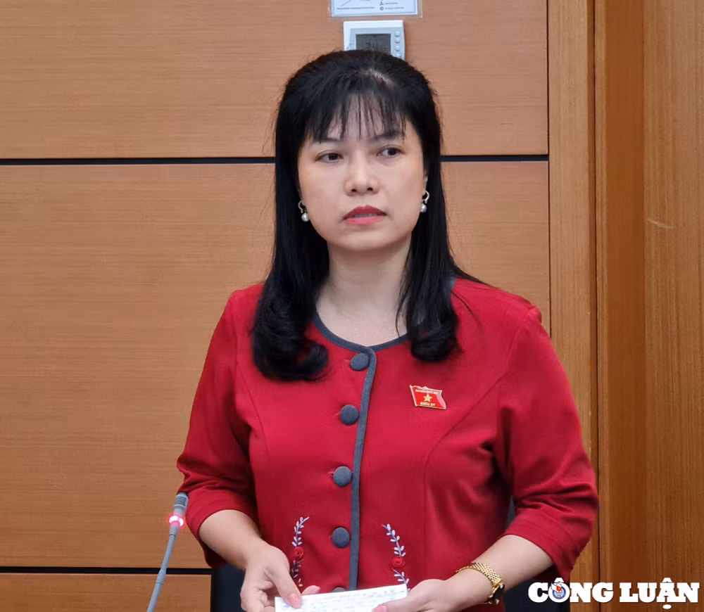 dai bieu quoc hoi de nghi danh gia su lang phi cua hai co so benh vien lon du an dai hoc quoc gia hinh 1