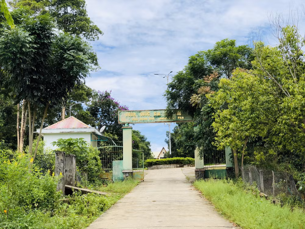 kon tum co hay khong viec khai thac vang trai phep trong vuon quoc gia chu mom ray hinh 1