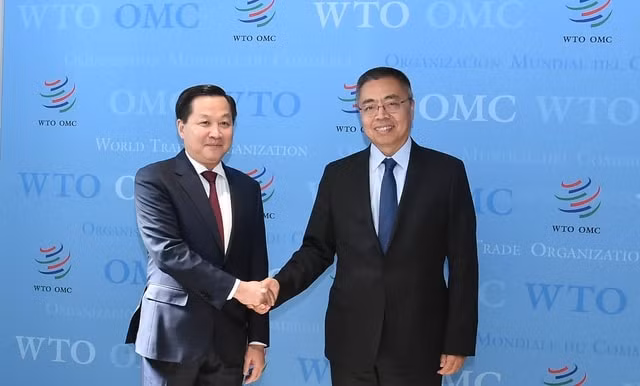 pho thu tuong le minh khai lam viec voi pho tong giam doc wto hinh 1