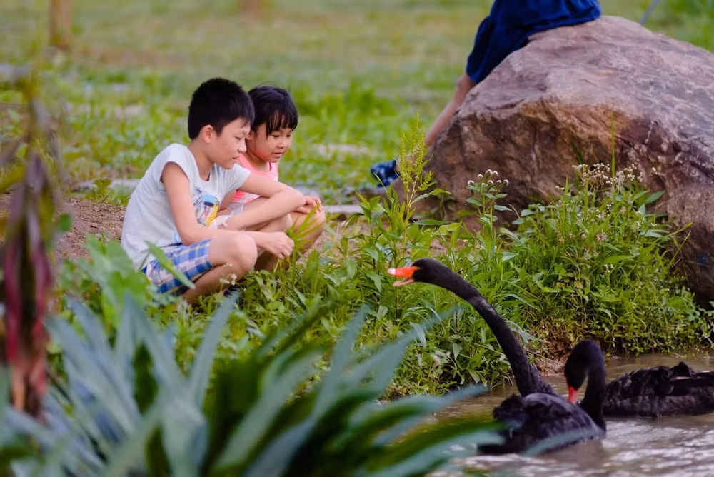 tre con ecopark co tuoi tho cua thoi ong ba cha me hinh 6