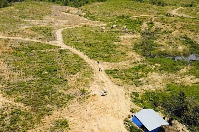 gia lai khoi to vu an tan pha hon 4 ha rung phong ho hinh 1