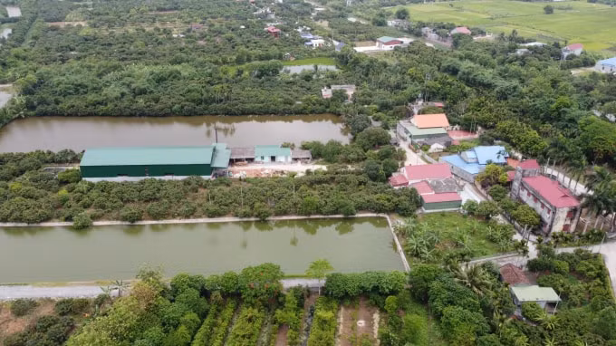 cuong che cong trinh vi pham xu li can bo lien quan vu xay trai phep tren dat nong truong quy cao hinh 2