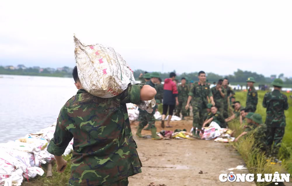 ha noi quan doi cung nhan dan chung tay chong lu bao ve lua xuan hinh 1