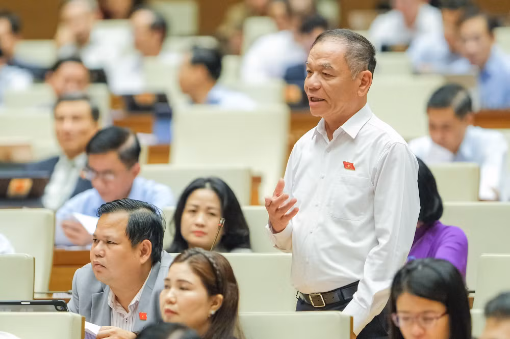 dai bieu de nghi luat hoa sang kien cua dang doan quoc hoi ve chien luoc lap phap hinh 1