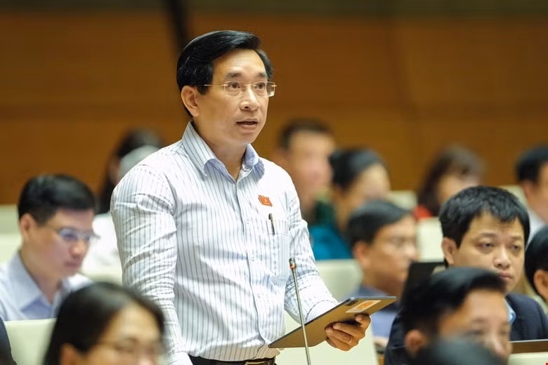 dai bieu quoc hoi can co luat bao ve nguoi dam nghi dam lam hinh 1