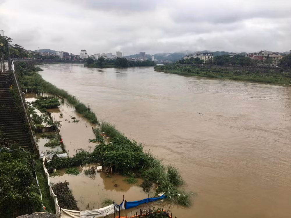 lao cai lu lon tren thuong nguon song hong lam ngap nhieu rau mau hinh 1