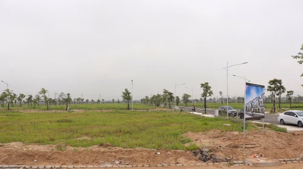 nhung ke ho cua cac phien dau gia dat can manh tay hon nua de ran de hinh 2