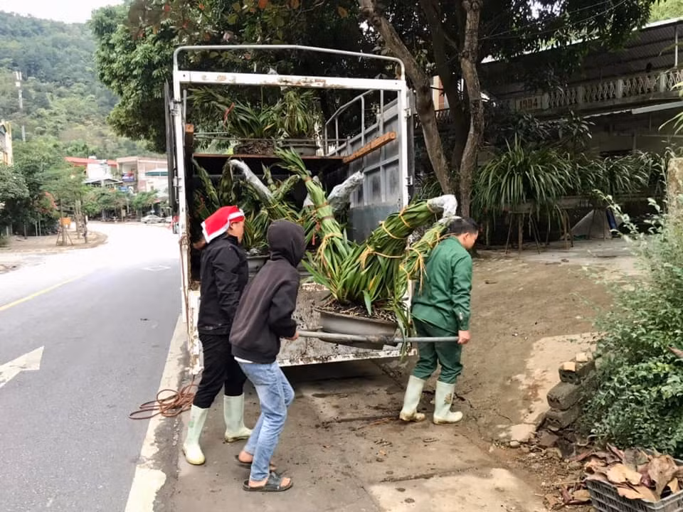 nguoi dan sa pa so tan hang van chau hoa dia lan tet xuong nui tranh ret hai hinh 1