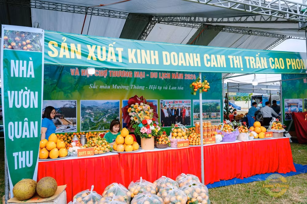 day manh quang ba thuong hieu cam cao phong tai thi truong trong nuoc hinh 2