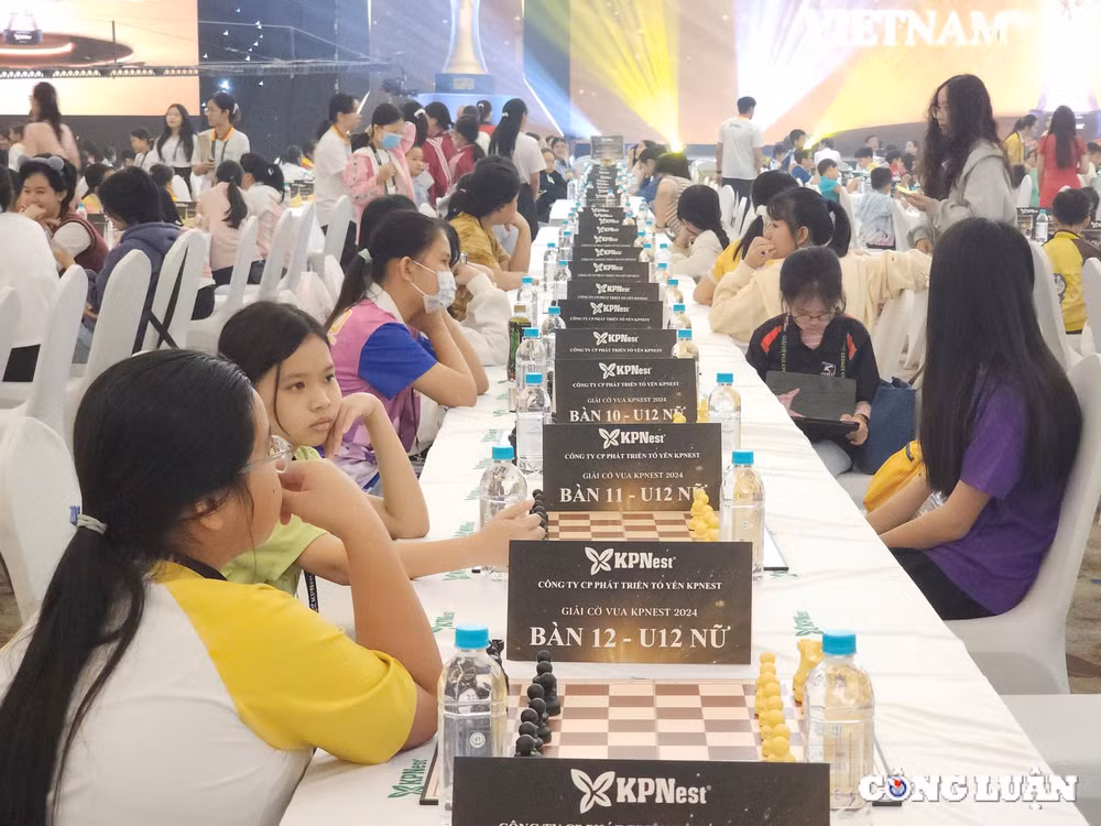 vinh danh nhieu dai kien tuong tai giai co vua kpnest 2024 tranh cup ma vang kpnest hinh 2