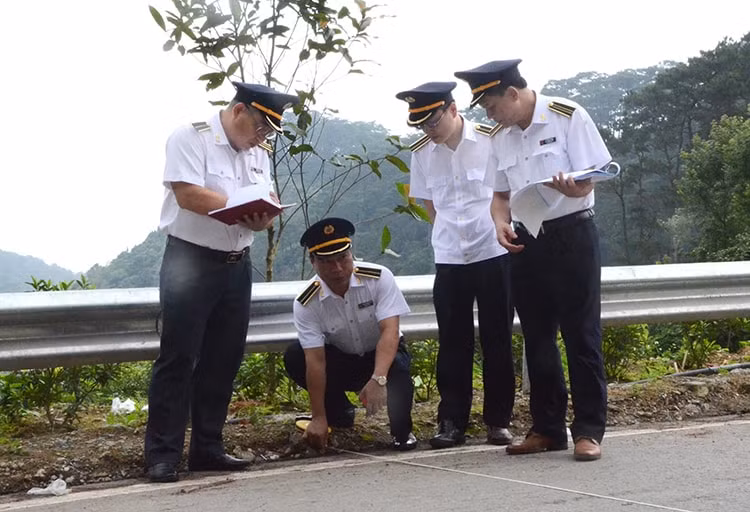 khoang trong kiem toan doanh nghiep do nha nuoc nam giu duoi 50 von dieu le hinh 1