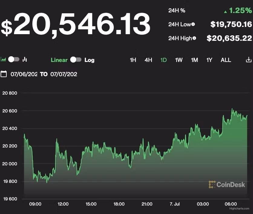 gia bitcoin hom nay 7 7 chung lai o 20000 usd hinh 1
