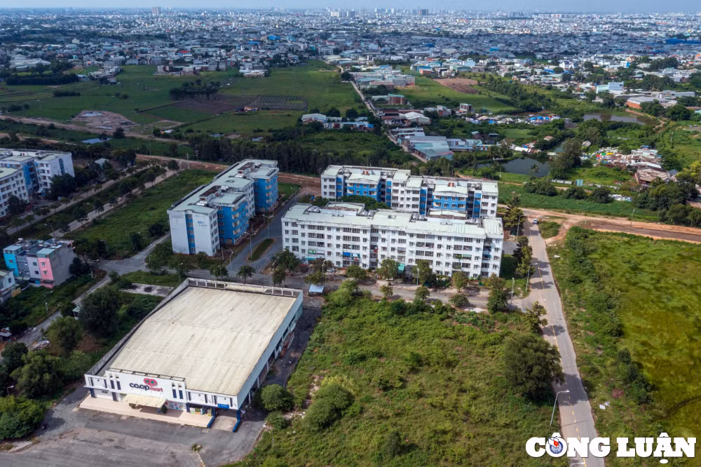 1000 can ho tai dinh cu xay len khong ai o bo hoang gan 10 nam o tphcm hinh 5