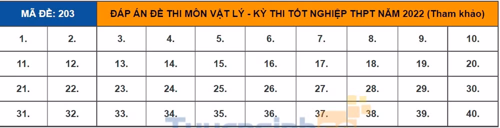dap an de thi tot nghiep thpt 2022 mon vat ly ma de 203 tham khao hinh 1
