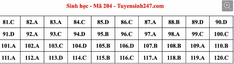 dap an de thi tot nghiep thpt 2022 mon sinh hoc ma de 204 tham khao hinh 1