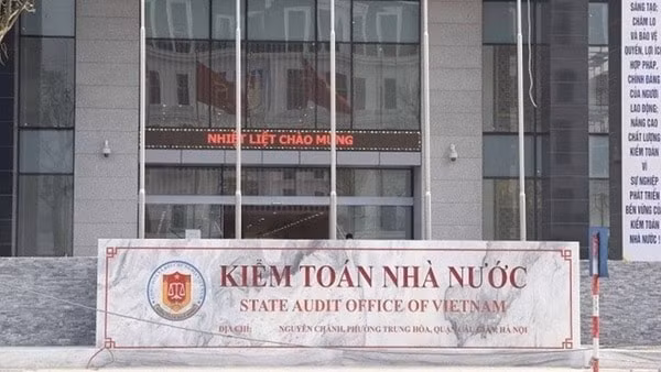 nam 2021 nganh kiem toan da cung cap 265 ho so phuc vu cong tac dieu tra giam sat hinh 1