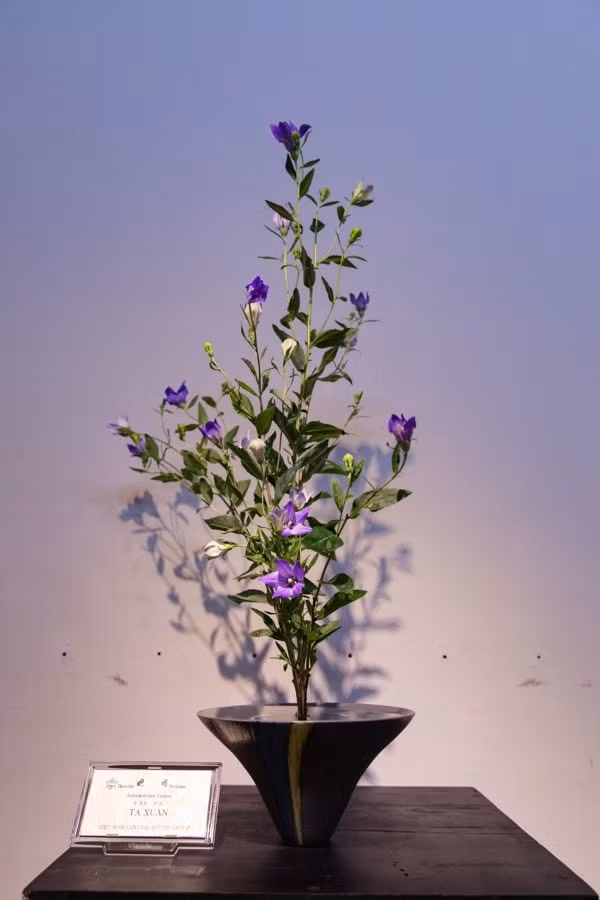 ngac nhien voi ve dep cua nghe thuat cam hoa ikebana nhat ban hinh 11