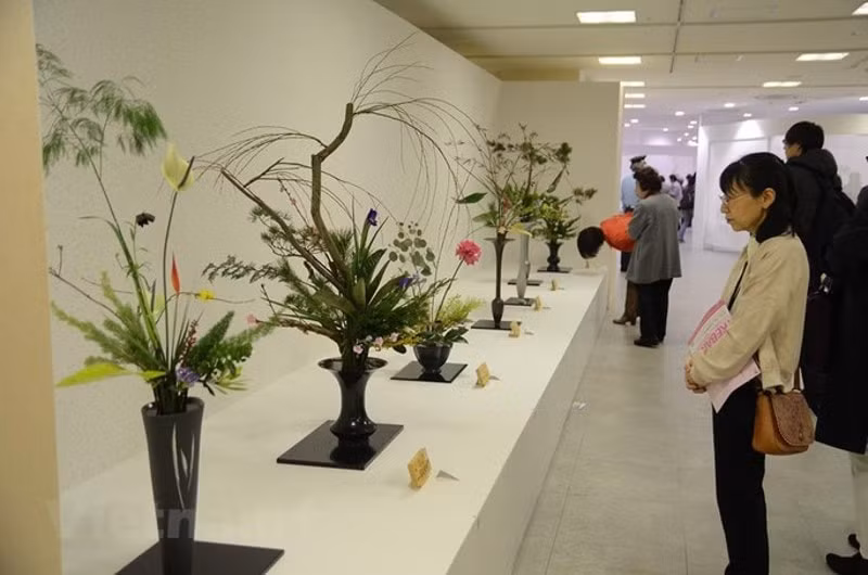 ngac nhien voi ve dep cua nghe thuat cam hoa ikebana nhat ban hinh 1