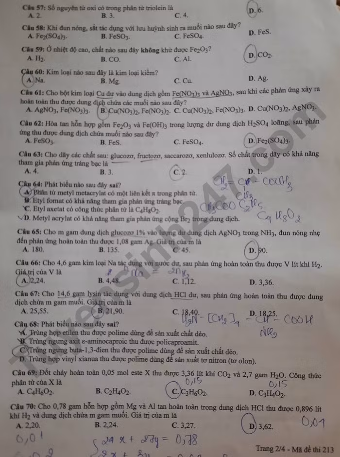 de thi tot nghiep thpt 2022 mon hoa hoc ma de 213 hinh 2