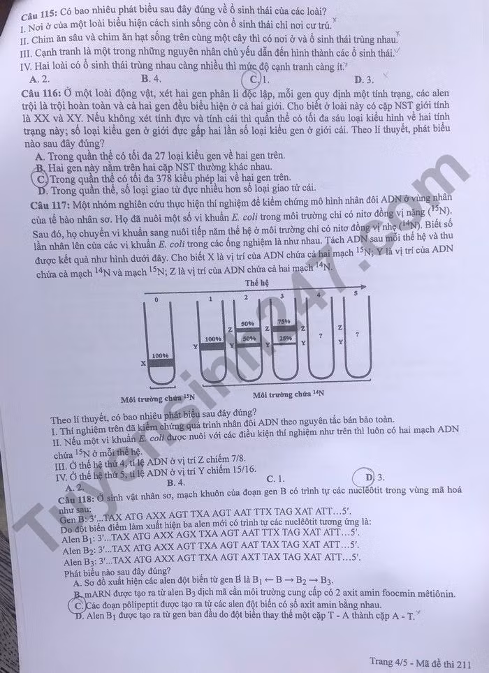 de thi tot nghiep thpt 2022 mon sinh hoc ma de 211 hinh 4