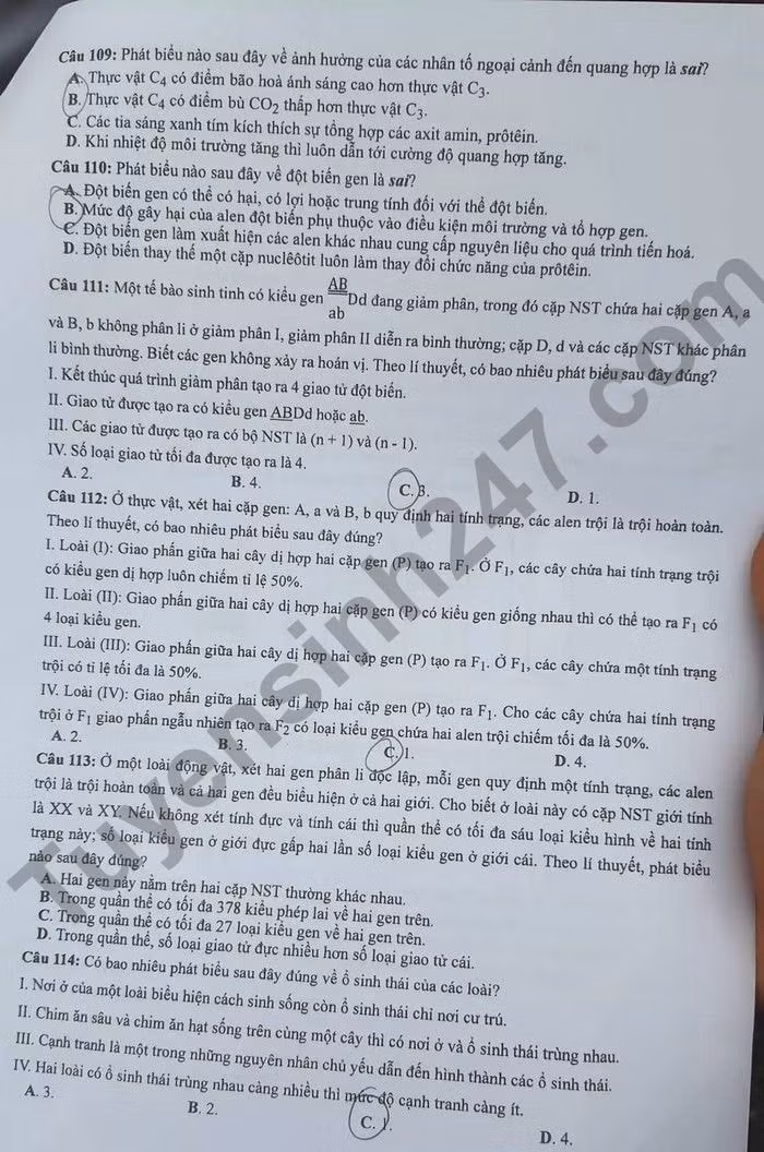 de thi tot nghiep thpt 2022 mon sinh hoc ma de 221 hinh 3