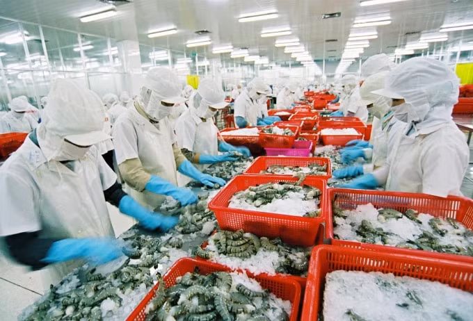 Theo Bộ Kế hoạch - Đầu tư, ngành chế biến thủy sản đang gặp nhiều khó khăn, nhất là các quy chế xử phạt liên quan tới vấn đề môi trường.