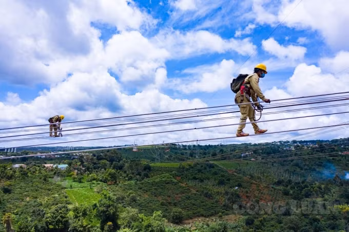 Công nhân đang kiểm tra đường dây 500kV