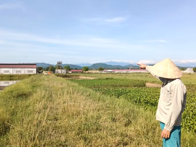 Trại chăn nuôi lợn 