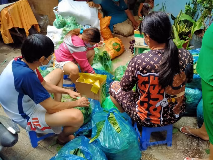 Nhóm tình nguyện phân rau xanh từ Bình Phước thành các suất quà gửi tặng người dân gặp khó khăn ở TP. HCM