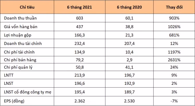 Kết quả kinh doanh 6 tháng đầu năm 2021 của An Gia (Đơn vị: tỷ đồng)
