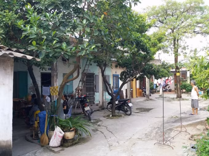 Một phần khu đất với nhiều khúc mắc trong việc cấp sổ đỏ, thu hồi, chuyển đổi mục đích sử dụng đất.